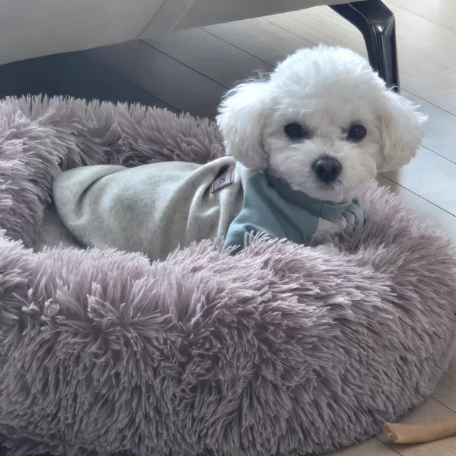 러피엄마