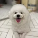 민재랑강이랑