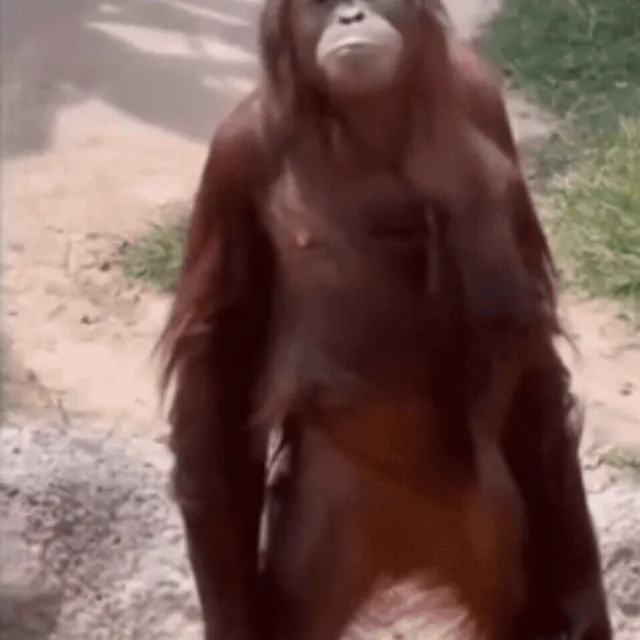 쿠라라