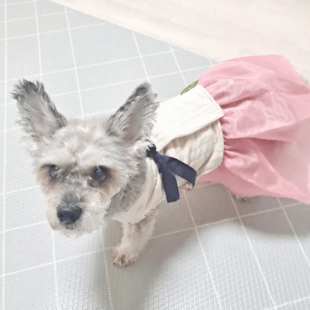 은방울꽃