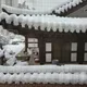 푸른인생