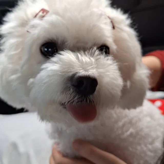 햇살처럼