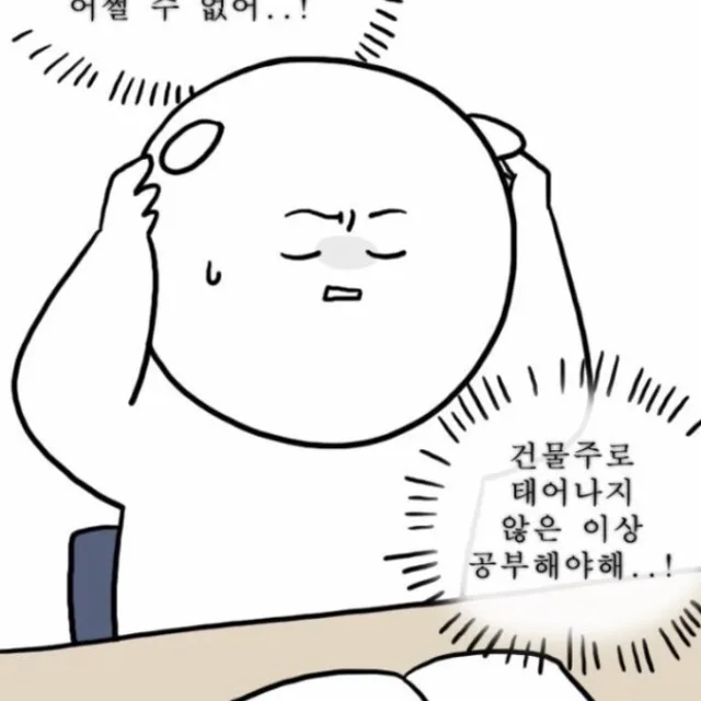 낭만고양이