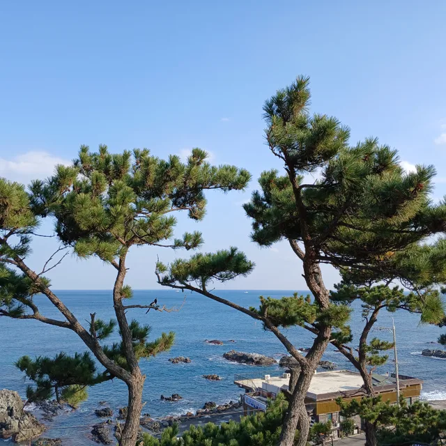 bluesea푸른바다
