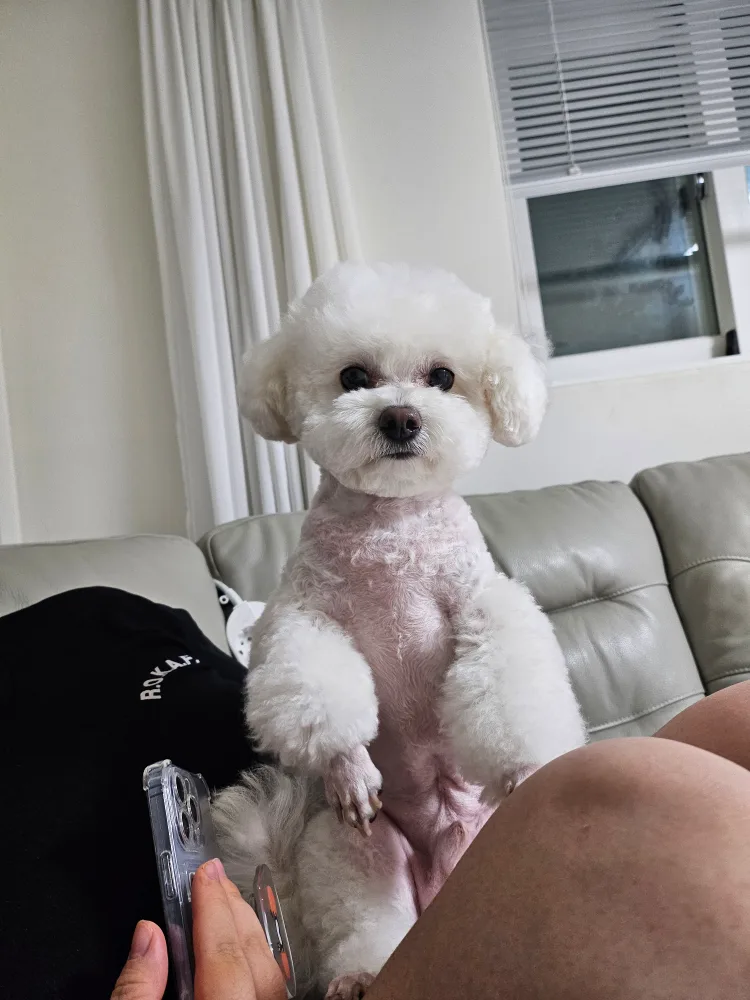 조이