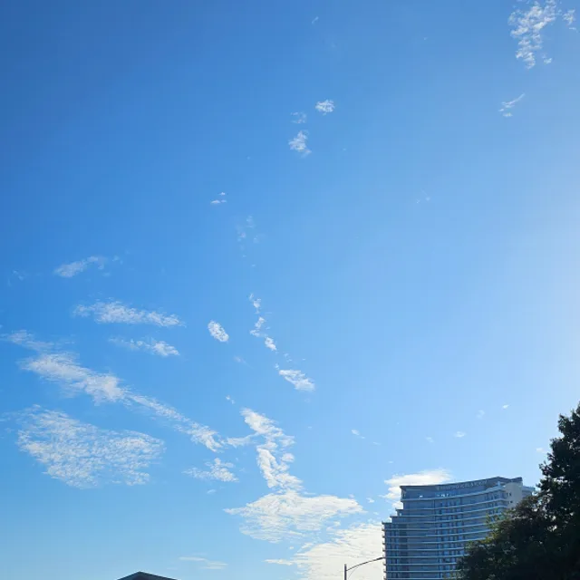 고디바