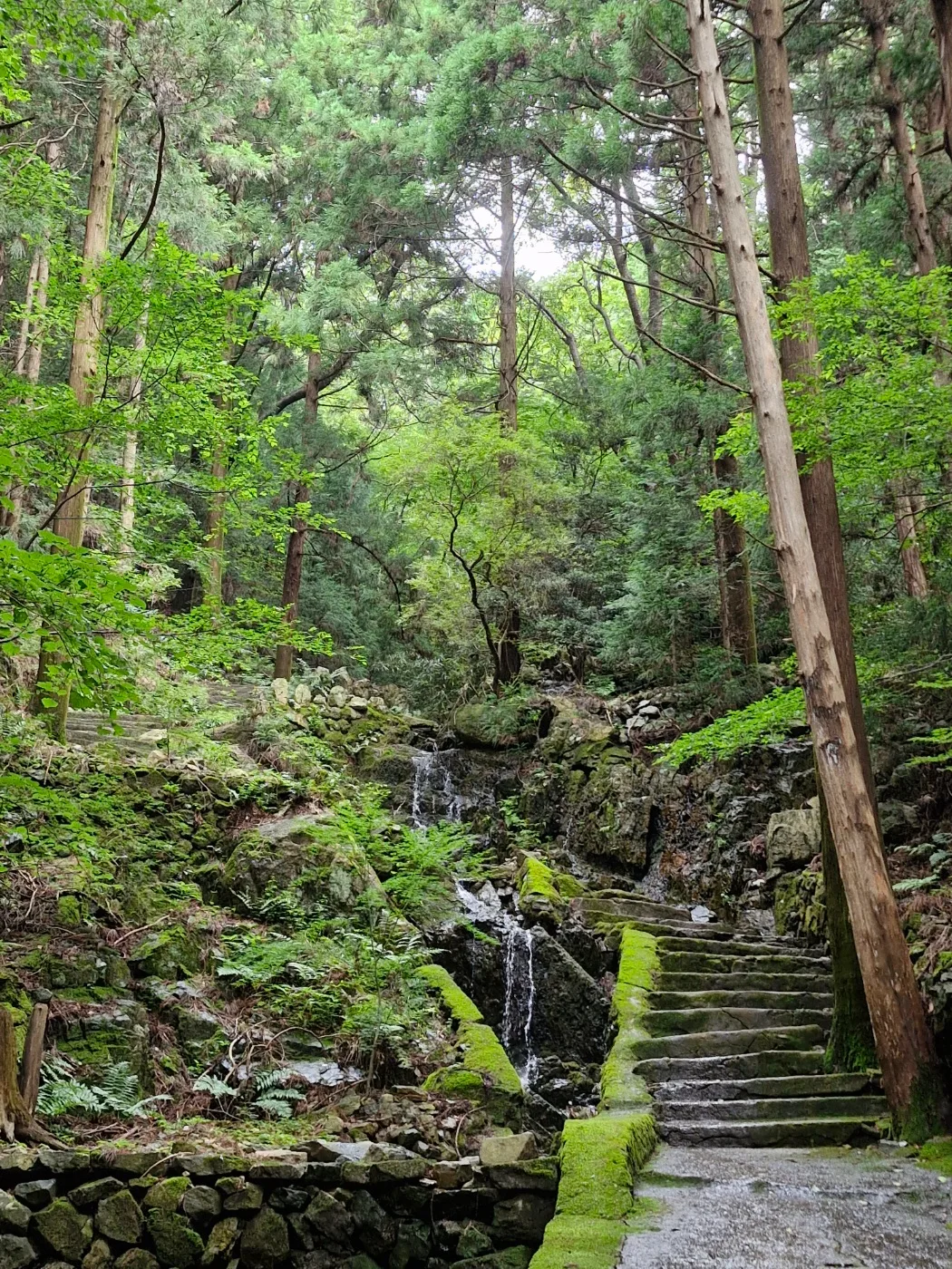 청풍명월