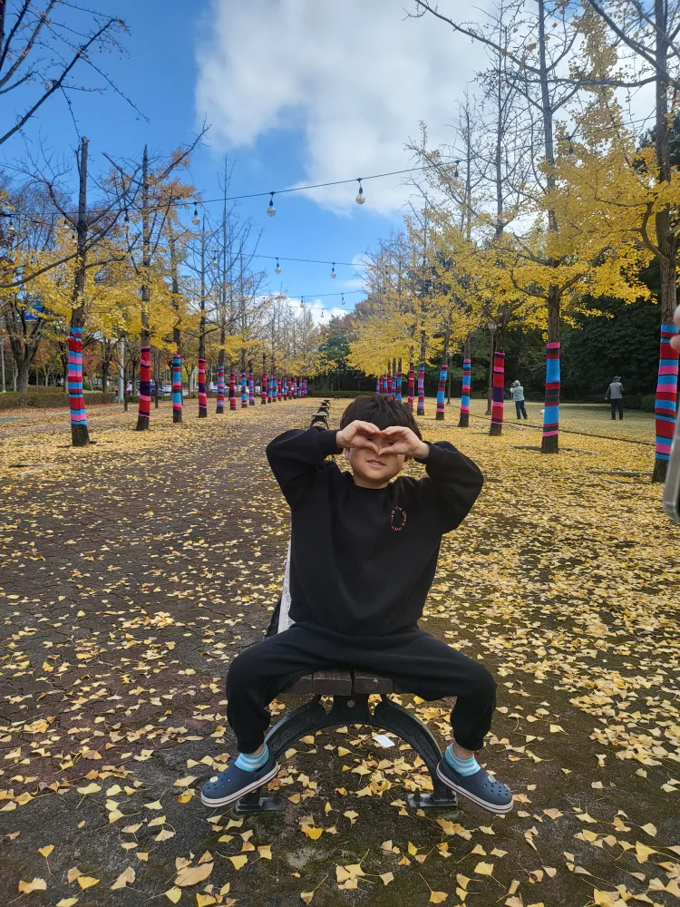 닌니파파