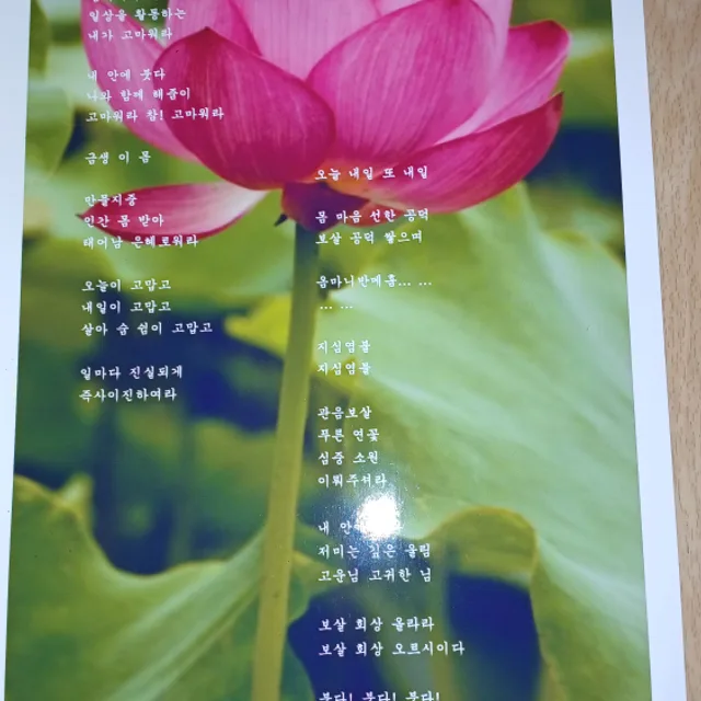 수련화
