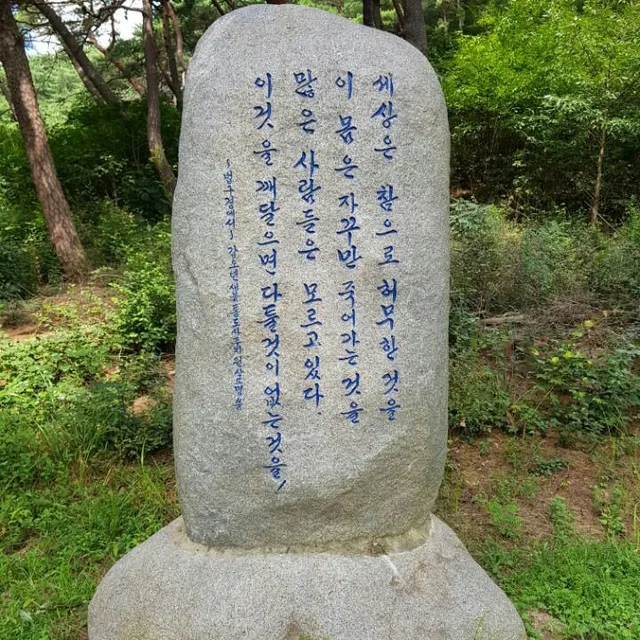 껌딱지오드리
