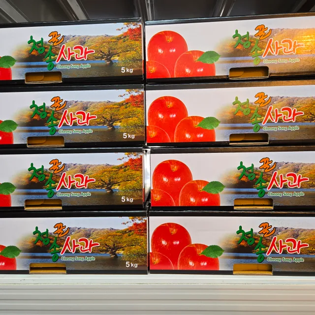 참과일전미남