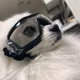 쿵이아범