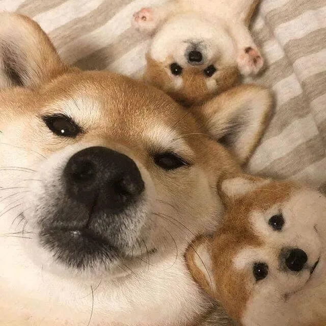 헬린쓰