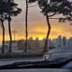 달리미환