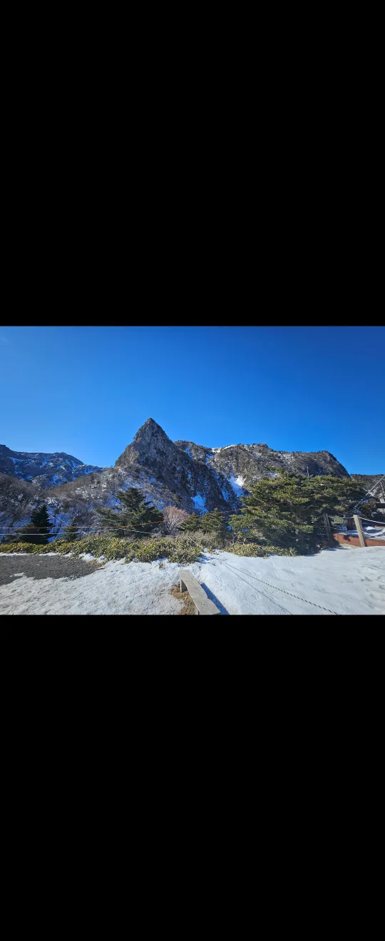 당근케이크