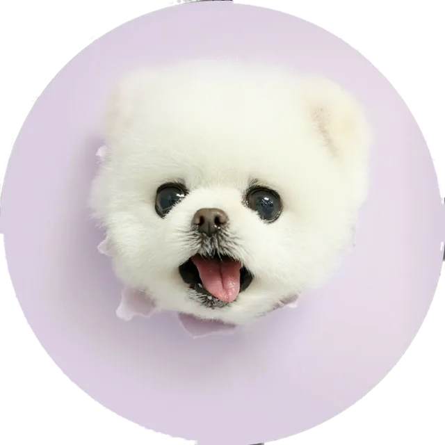 러브퐁키