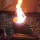 탱글탱글자몽