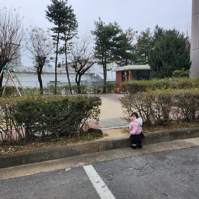 토복매미