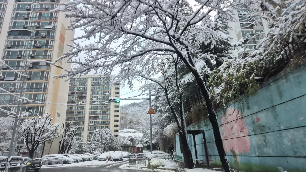 도토리