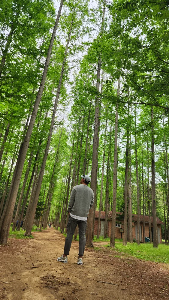 무혁님
