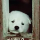 멍돌이멍순이
