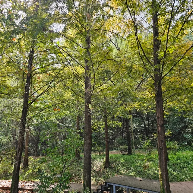 안다다씨