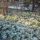 정리만이살길