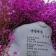 삐삐