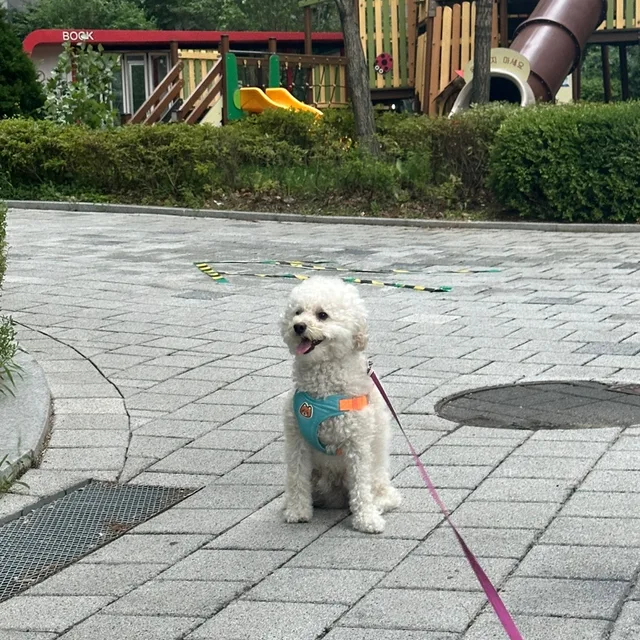 콩이맘