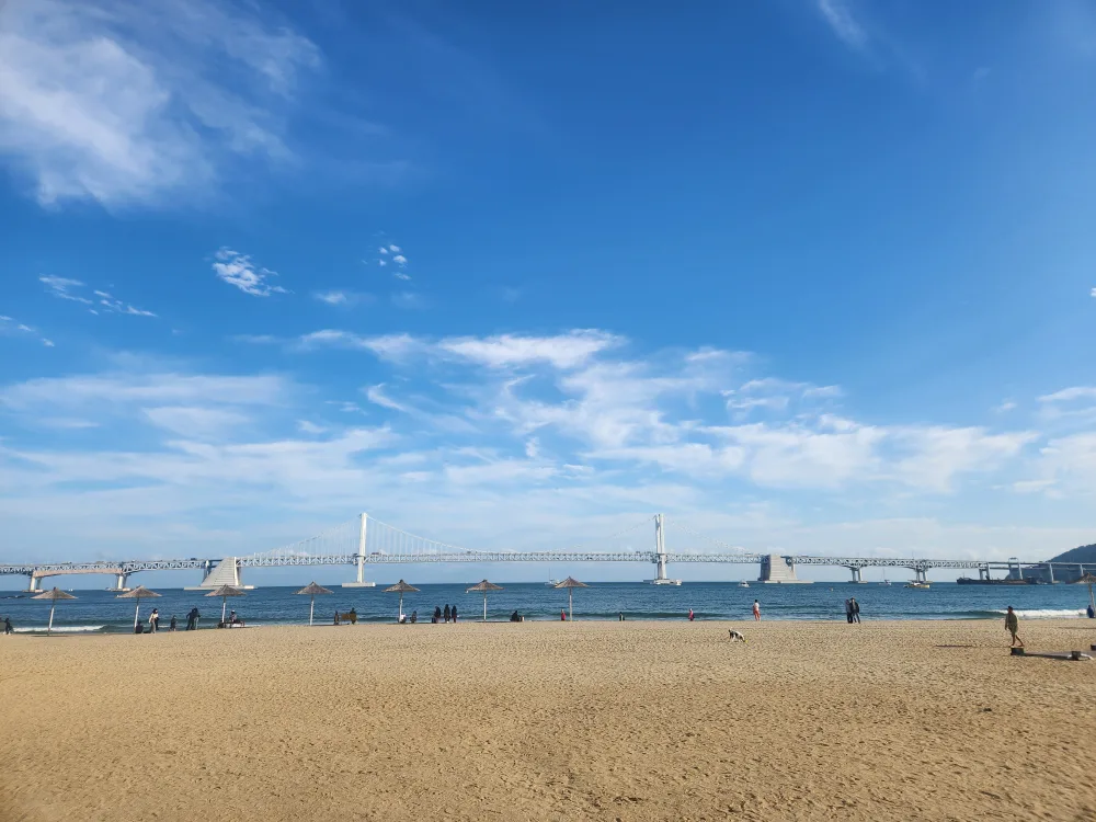 좋은일만그득
