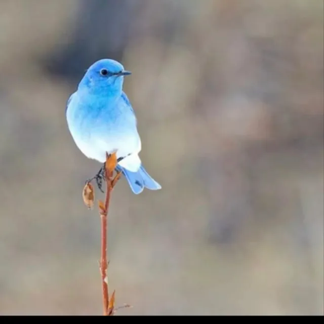 바른마음