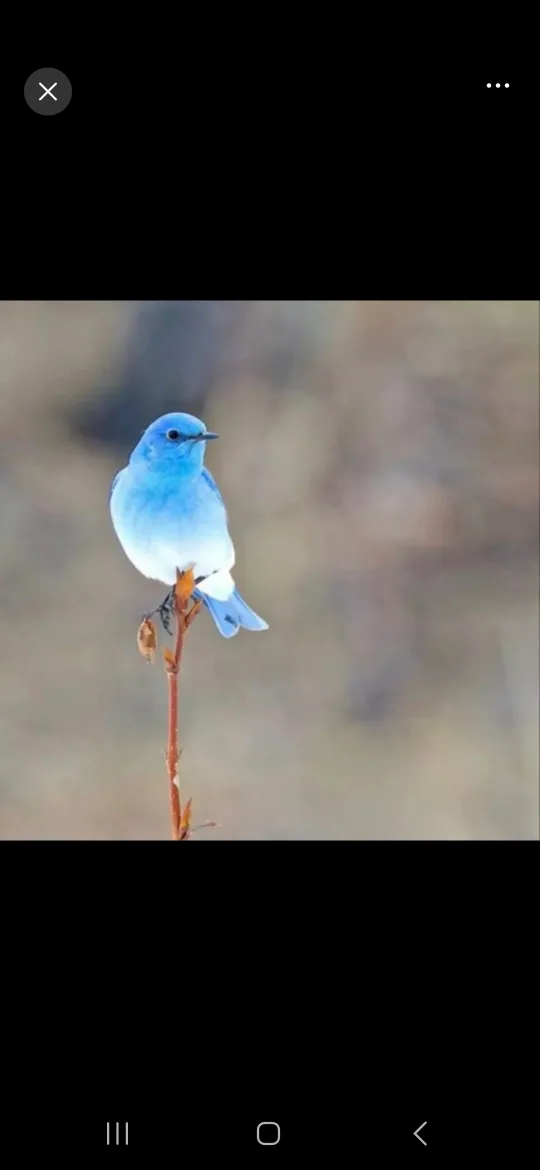 바른마음