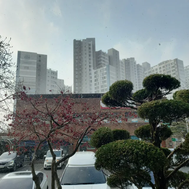 물먹는하마