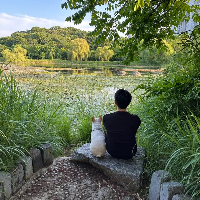 기니아스