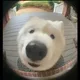 모냥모냥