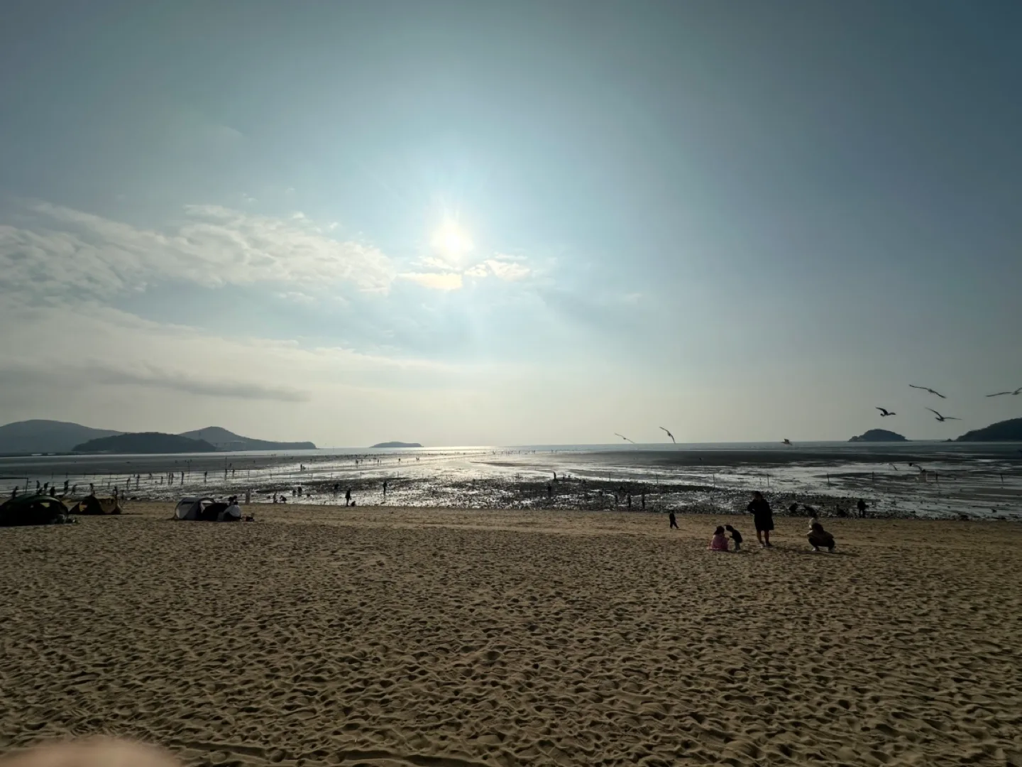 우기
