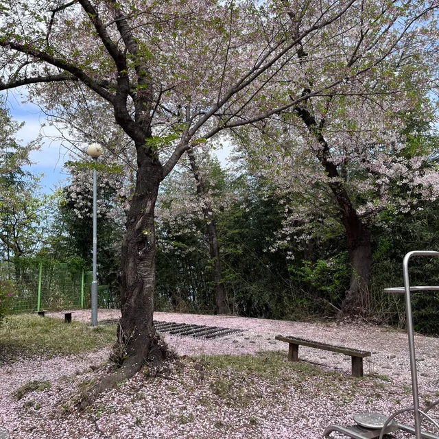 숲길