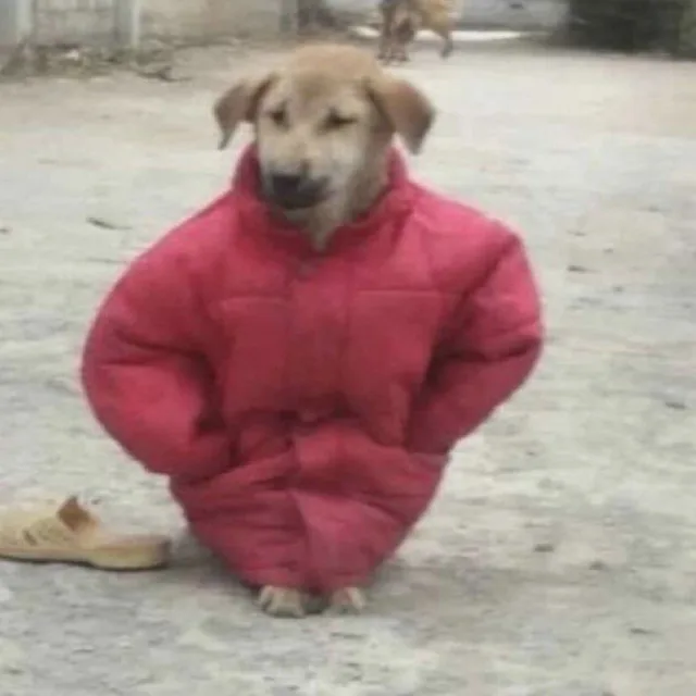 Ehdldakzm