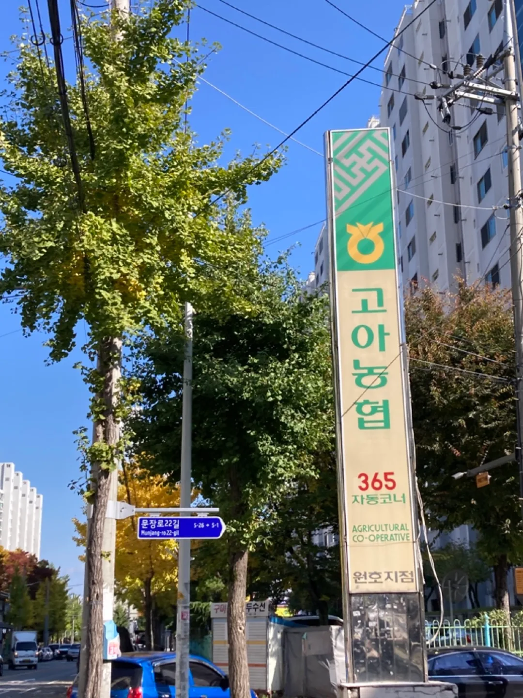 고아멜론