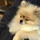 고스트타운