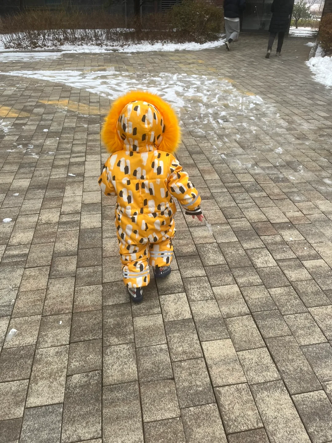버터버터인