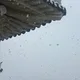 루루