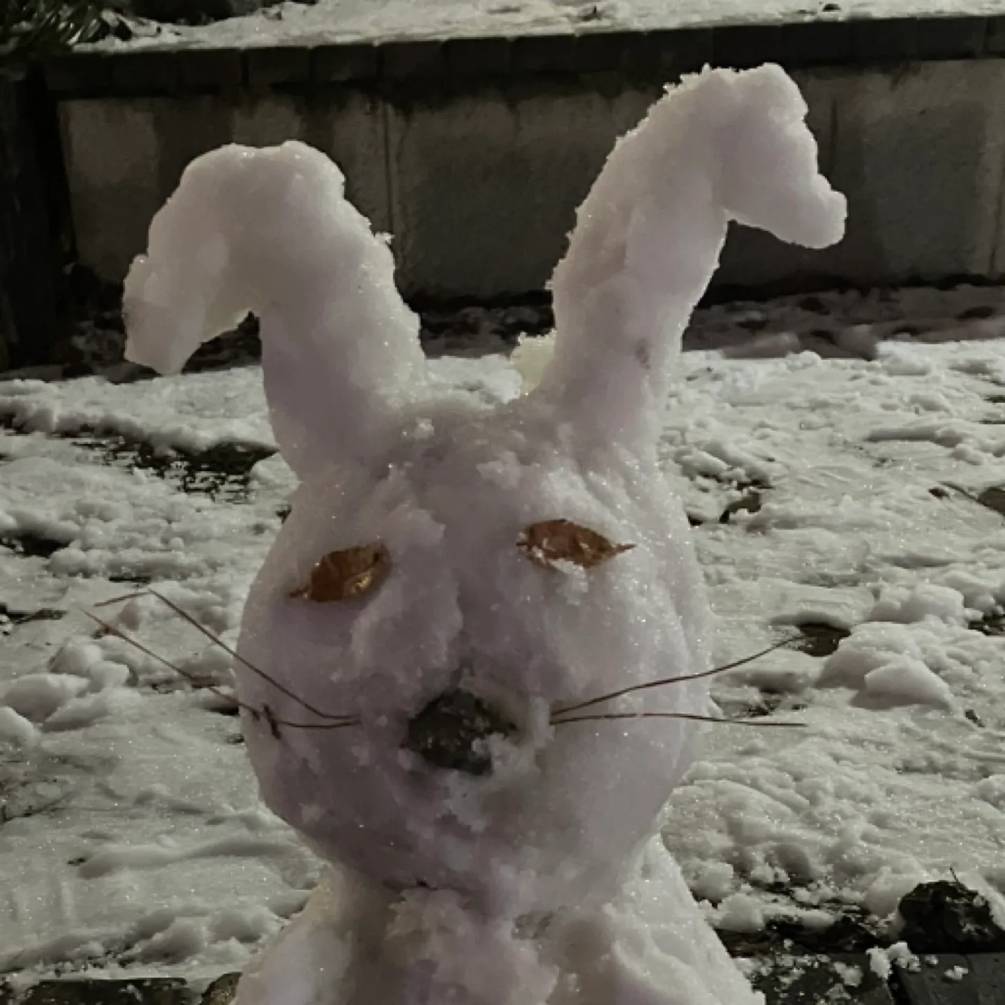 보보