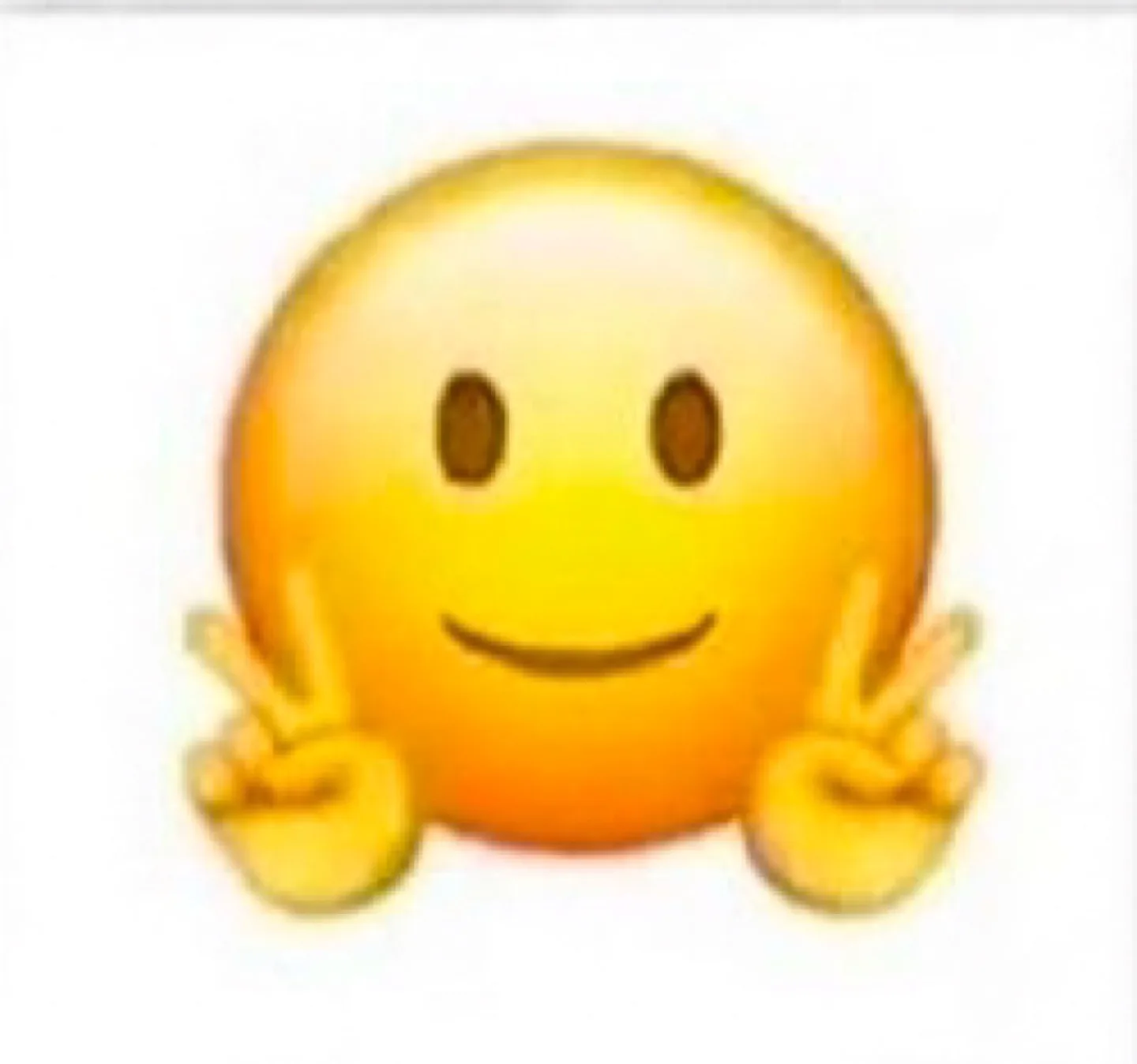 옷장정리ing