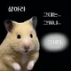 카이007