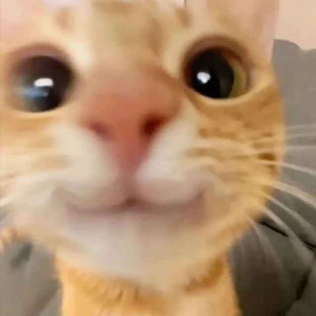 만니
