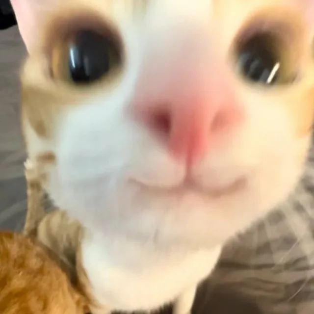 라르로루