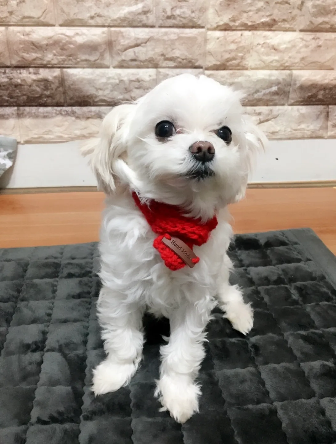 미니멀라이프