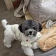 콩순이