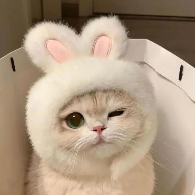 딸콩